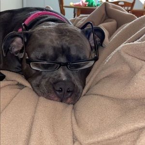 Meet your Posher, Monica